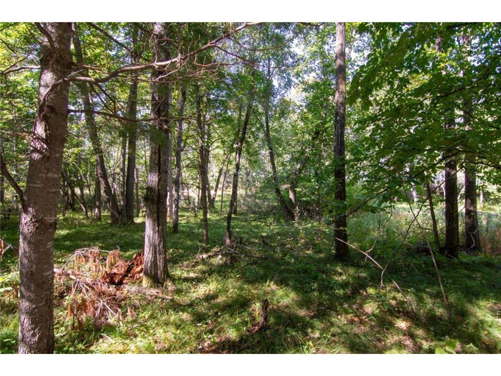 TBD Deacons Way Pelican Twp MN 56472 - Shaffer 7046849 image7