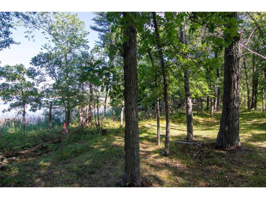 TBD Deacons Way Pelican Twp MN 56472 - Shaffer 7046849 image8