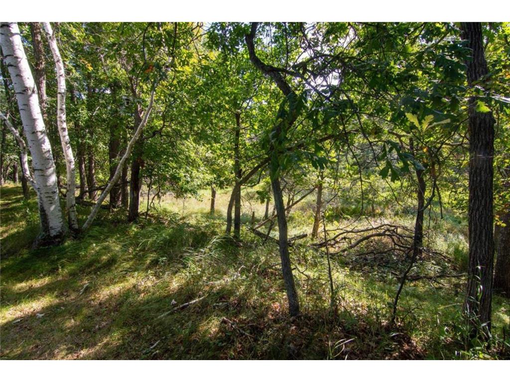 TBD Deacons Way Pelican Twp MN 56472 - Shaffer 7046849 image9