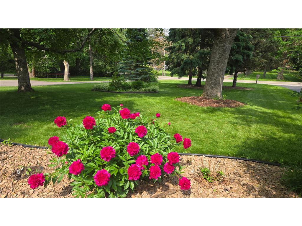 3179 Victoria Street N Shoreview MN 55126 6815894 image51