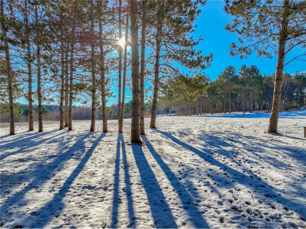 318 Gandy Dancer Circle Hudson WI 54016 6243148 image1