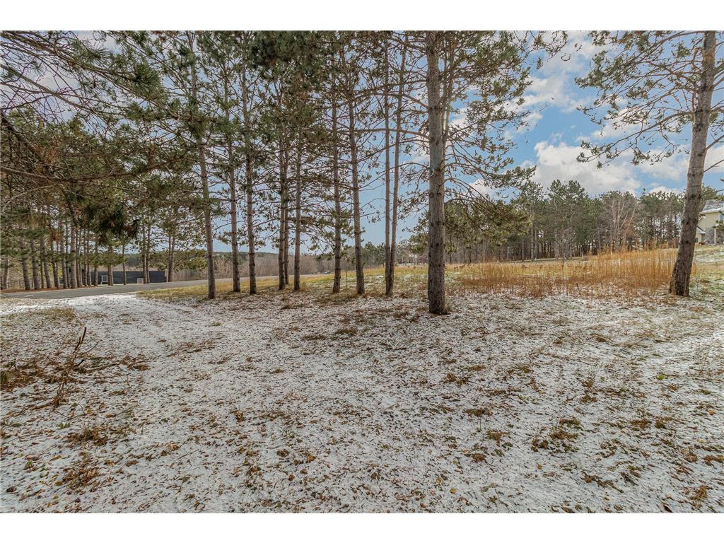 318 Gandy Dancer Circle Hudson WI 54016 6463579 image1