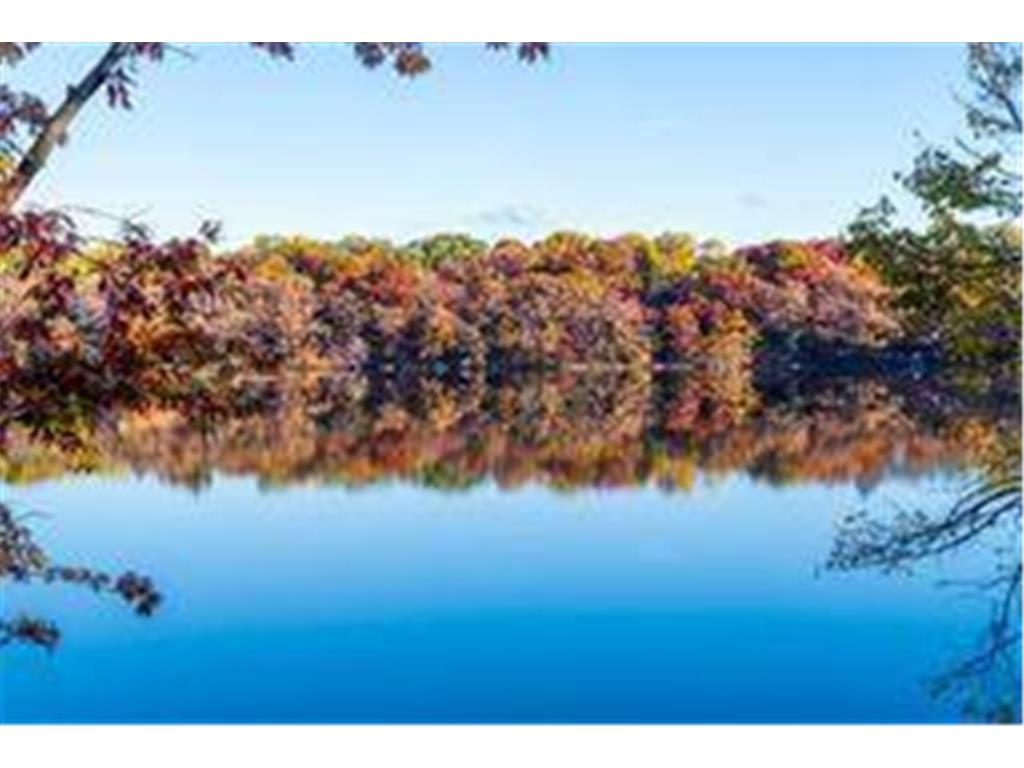 318 Mccarrons Boulevard S Roseville MN 55113 - McCarron 7003517 image52