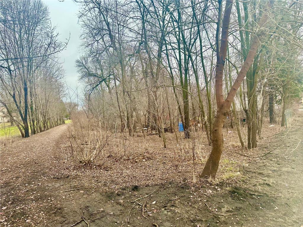 318 Winter Avenue Albert Lea MN 56007 6696317 image1