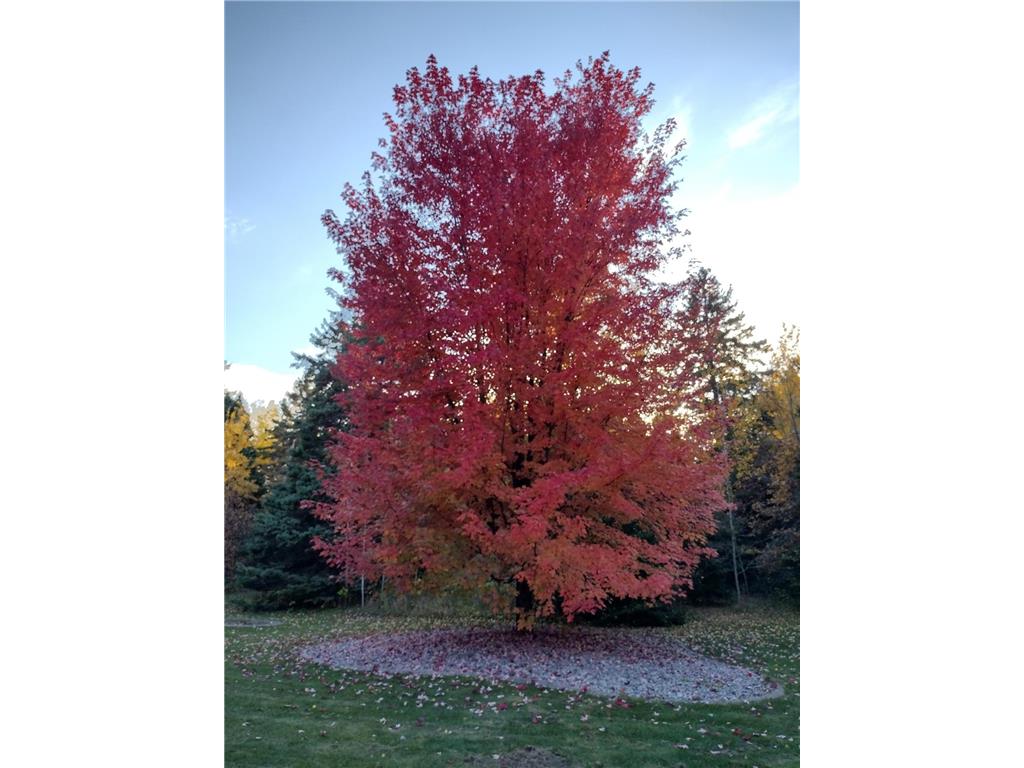 31849 147th Street NW Princeton MN 55371 7053637 image8