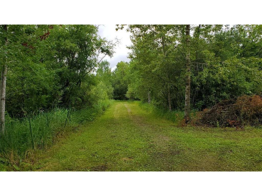 31859 443rd Lane Palisade MN 56469 - Gun 6766091 image14