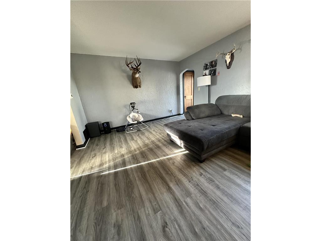 319 Crocker Avenue N Thief River Falls MN 56701 7052887 image4