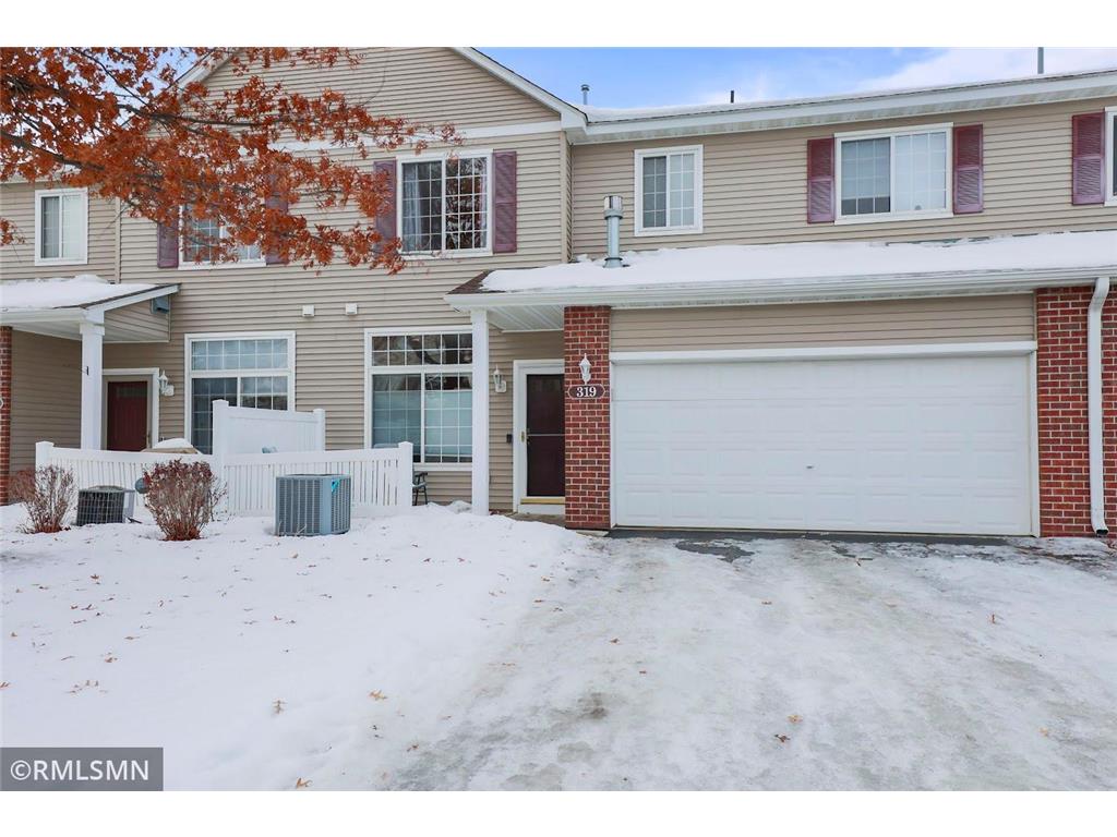 319 Frederick Circle 703, Hastings, MN, 55033 MLS 6333853 Edina