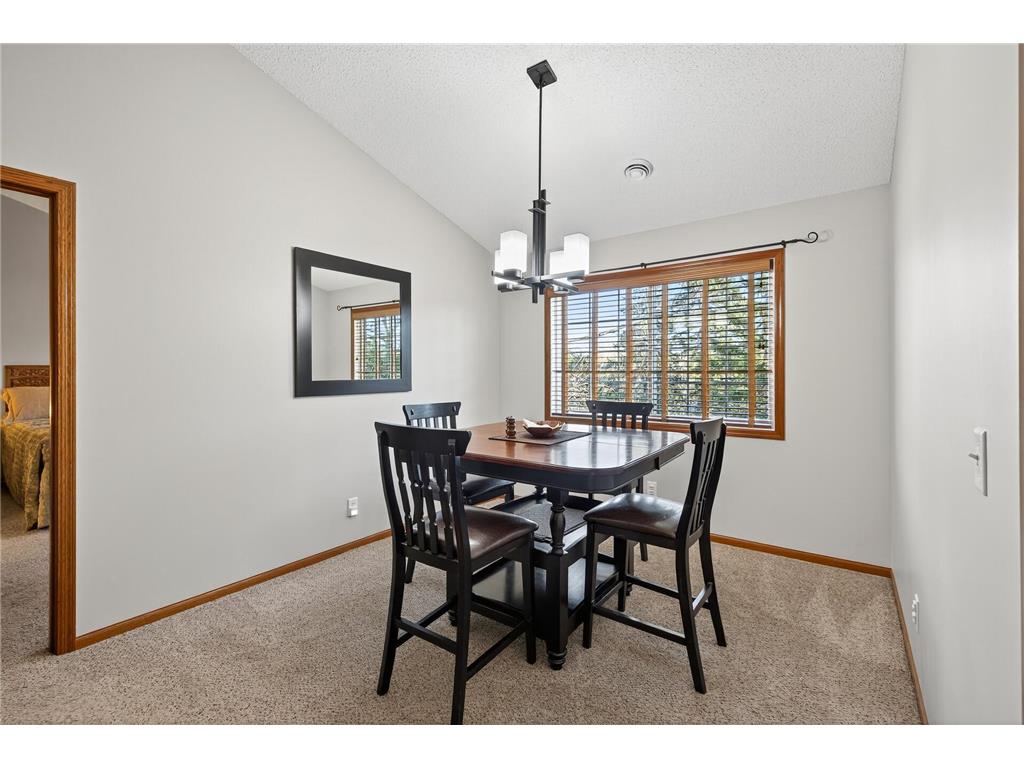 319 Heritage Trail Circle Pines MN 55014 6818673 image10