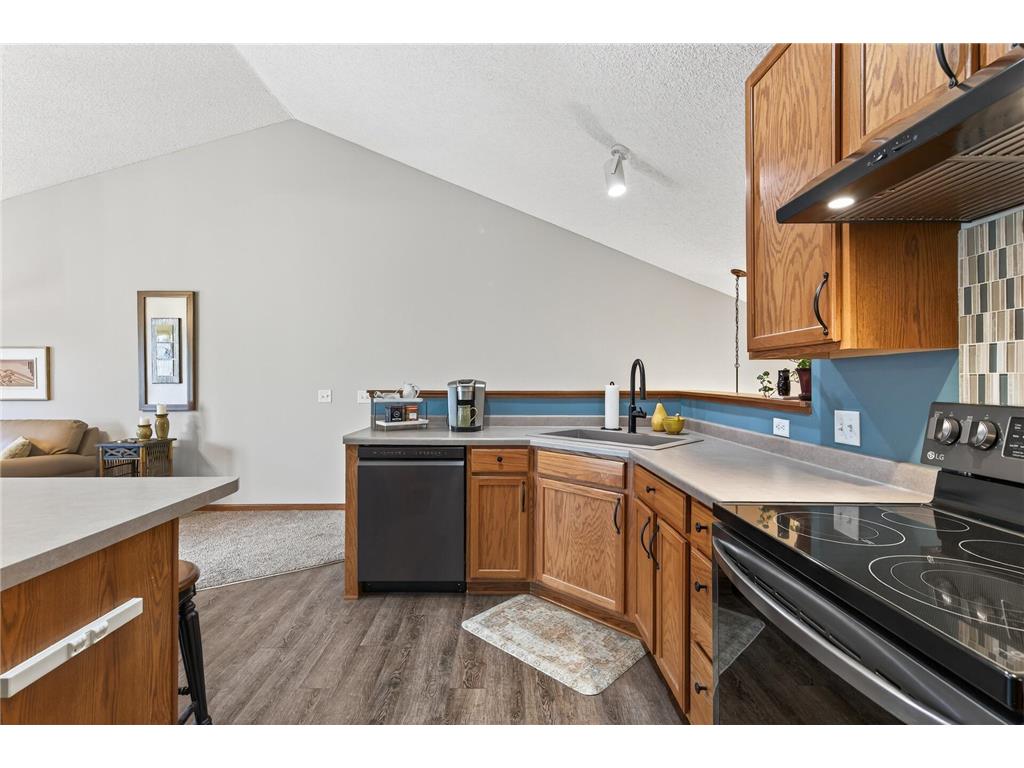 319 Heritage Trail Circle Pines MN 55014 6818673 image17