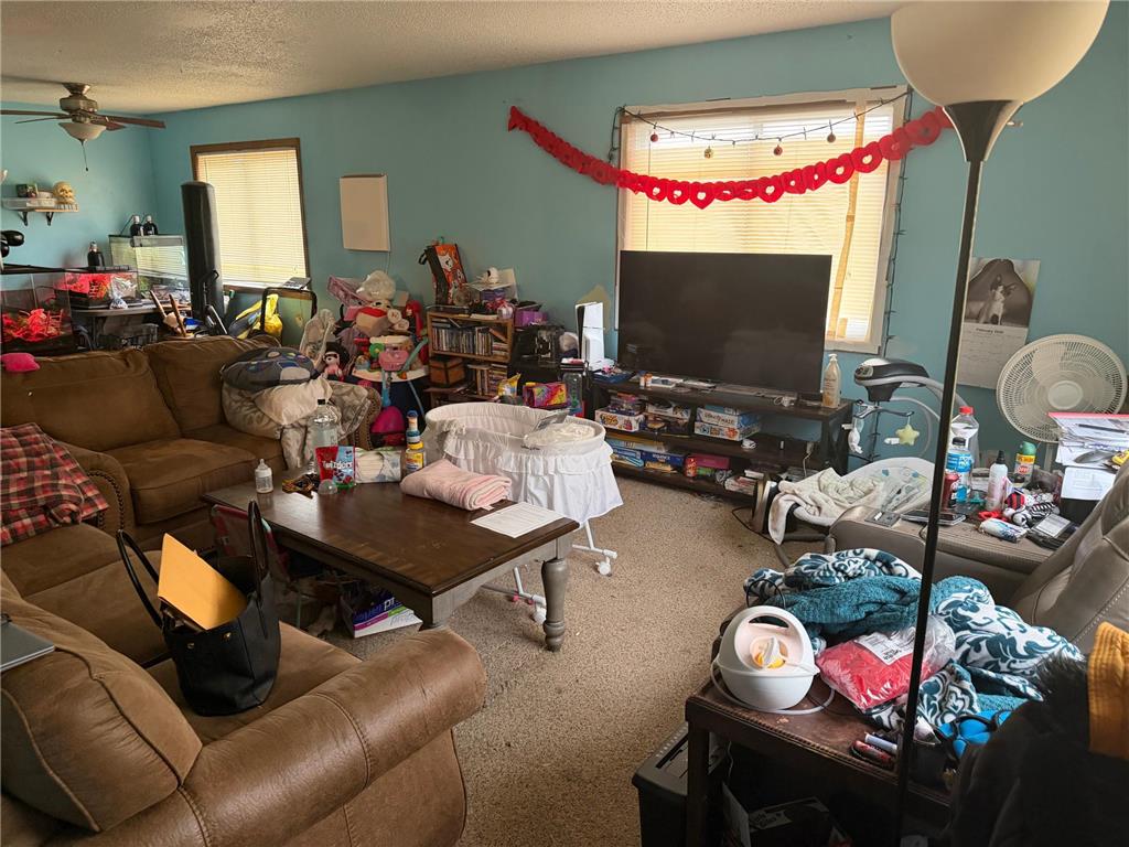 319 Peifer Drive Litchfield MN 55355 7049369 image3