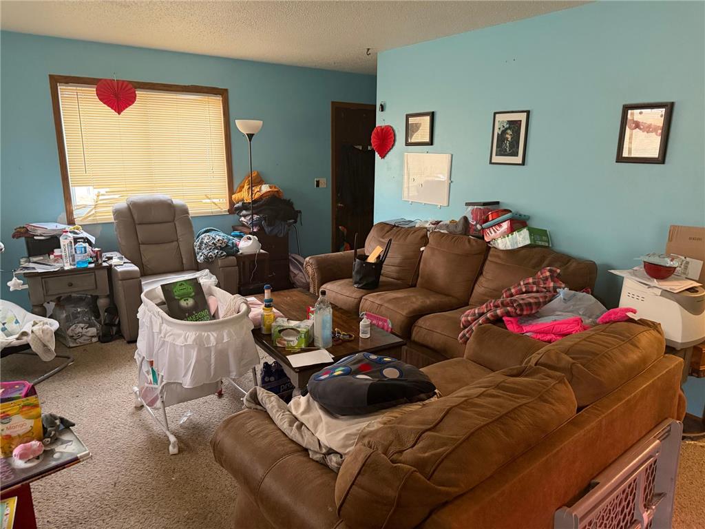 319 Peifer Drive Litchfield MN 55355 7049369 image4