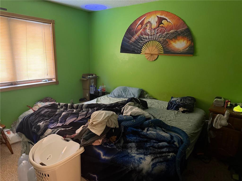 319 Peifer Drive Litchfield MN 55355 7049369 image5