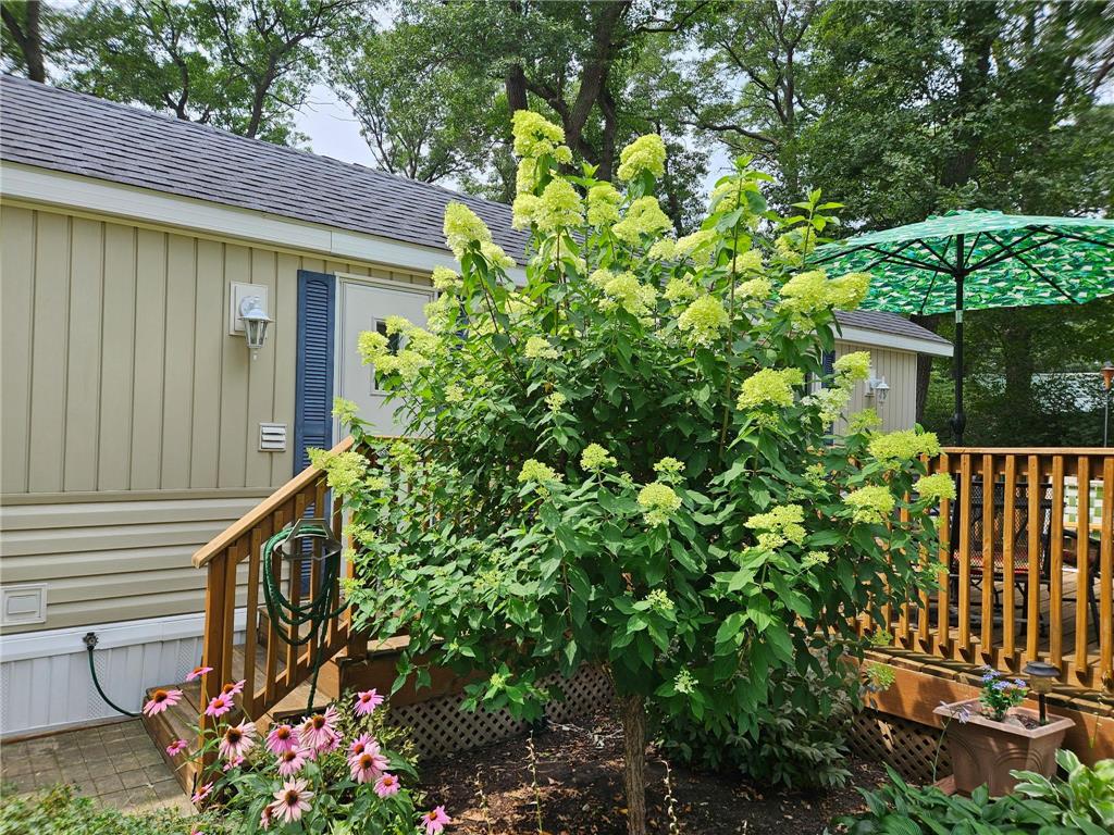 31938 18th Avenue #18 Cushing MN 56443 - FISH TRAP 7098500 image21