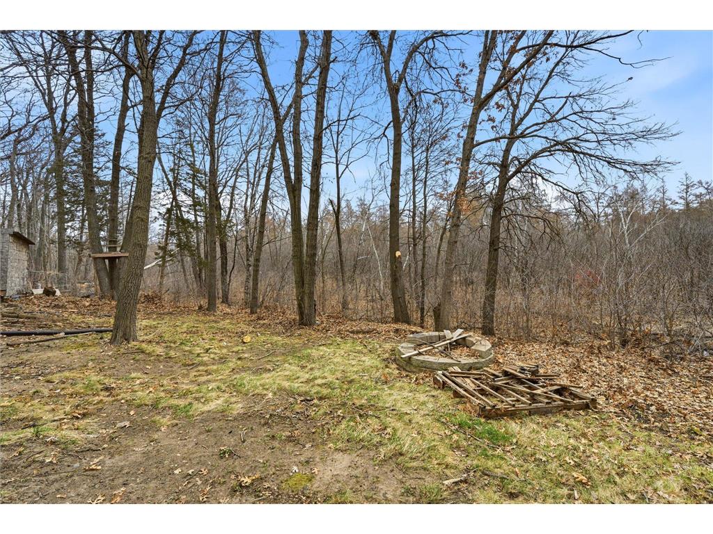 31945 Forest Boulevard Stacy MN 55079 7082178 image28
