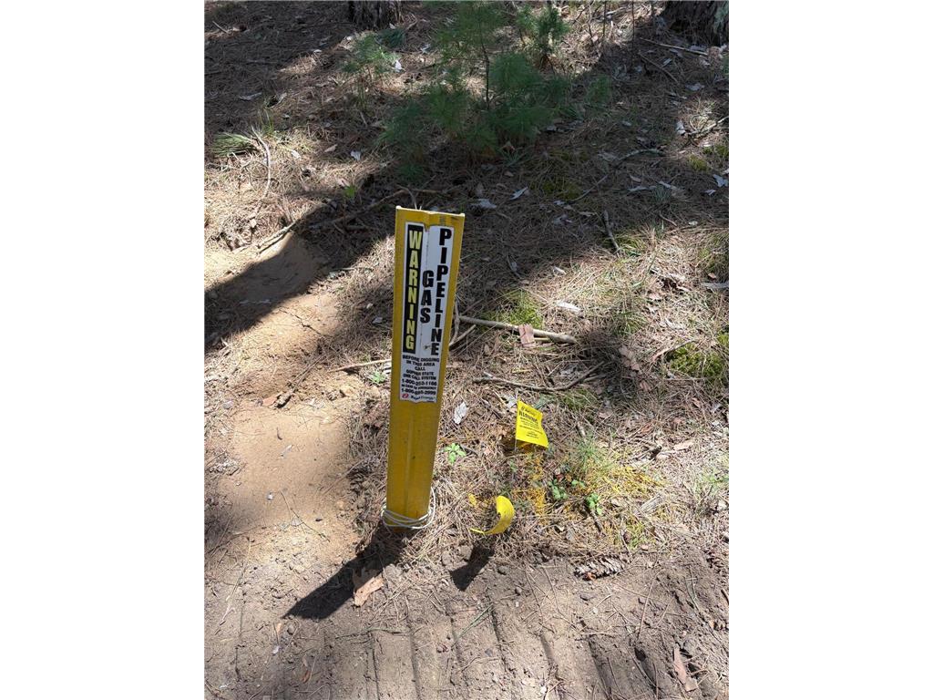 31XXX Nordenstua Lane Pequot Lakes MN 56472 - Sibley 7073597 image10