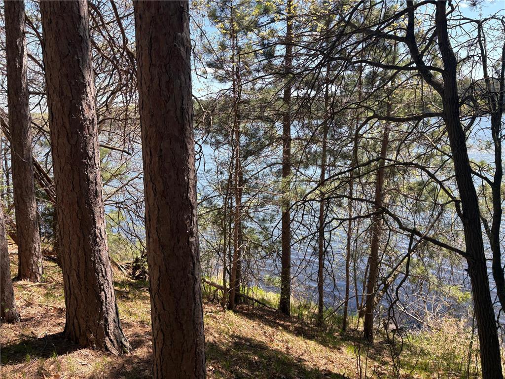 31XXX Nordenstua Lane Pequot Lakes MN 56472 - Sibley 7073597 image13