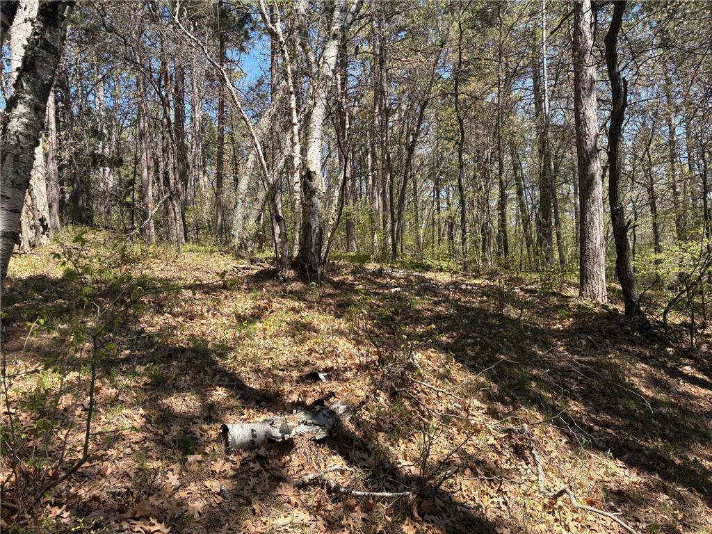 31XXX Nordenstua Lane Pequot Lakes MN 56472 - Sibley 7073597 image14