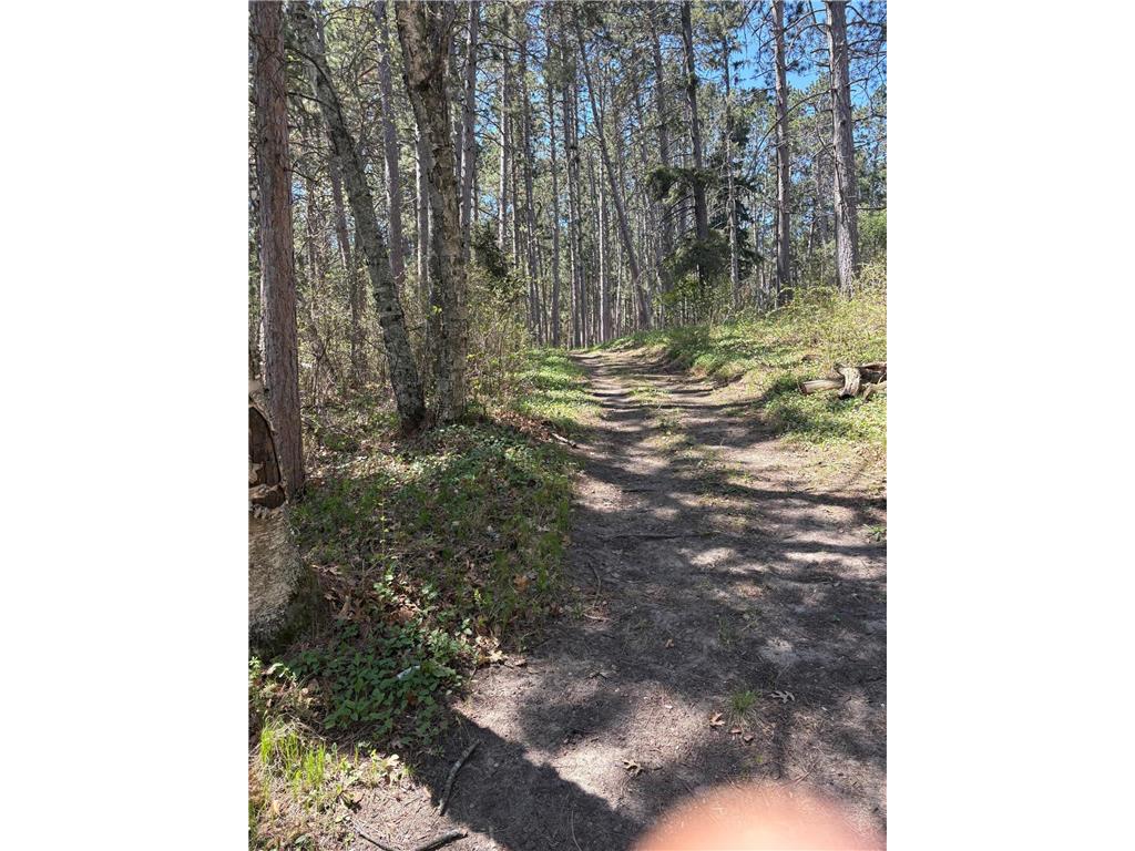 31XXX Nordenstua Lane Pequot Lakes MN 56472 - Sibley 7073597 image18