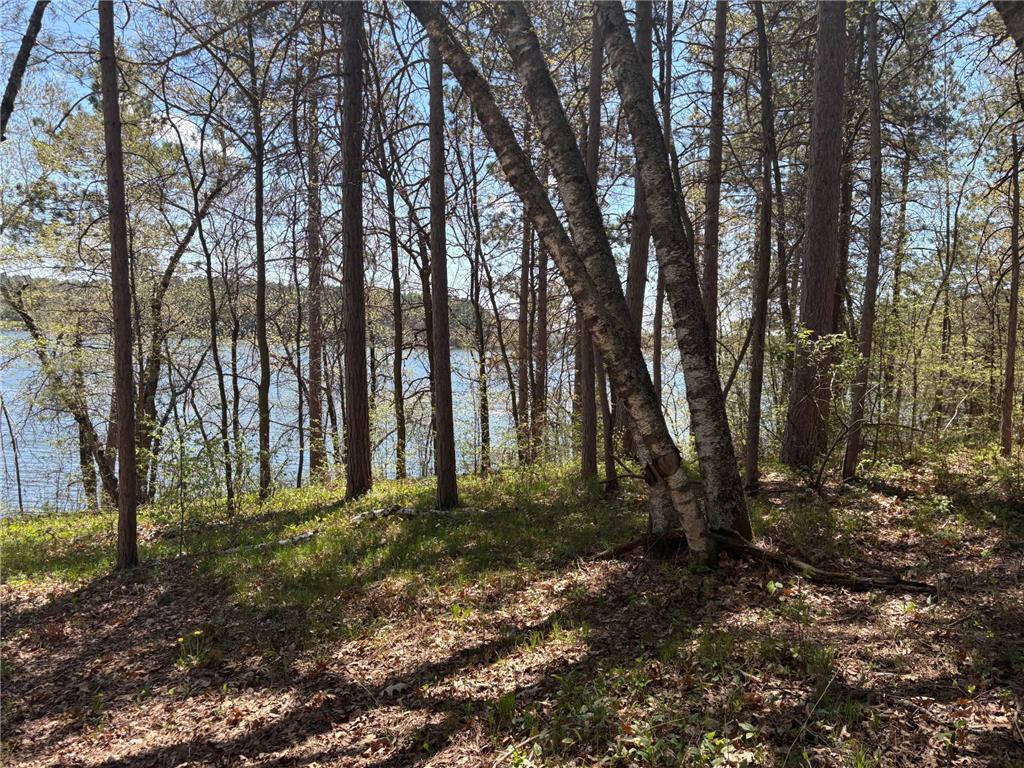 31XXX Nordenstua Lane Pequot Lakes MN 56472 - Sibley 7073597 image19