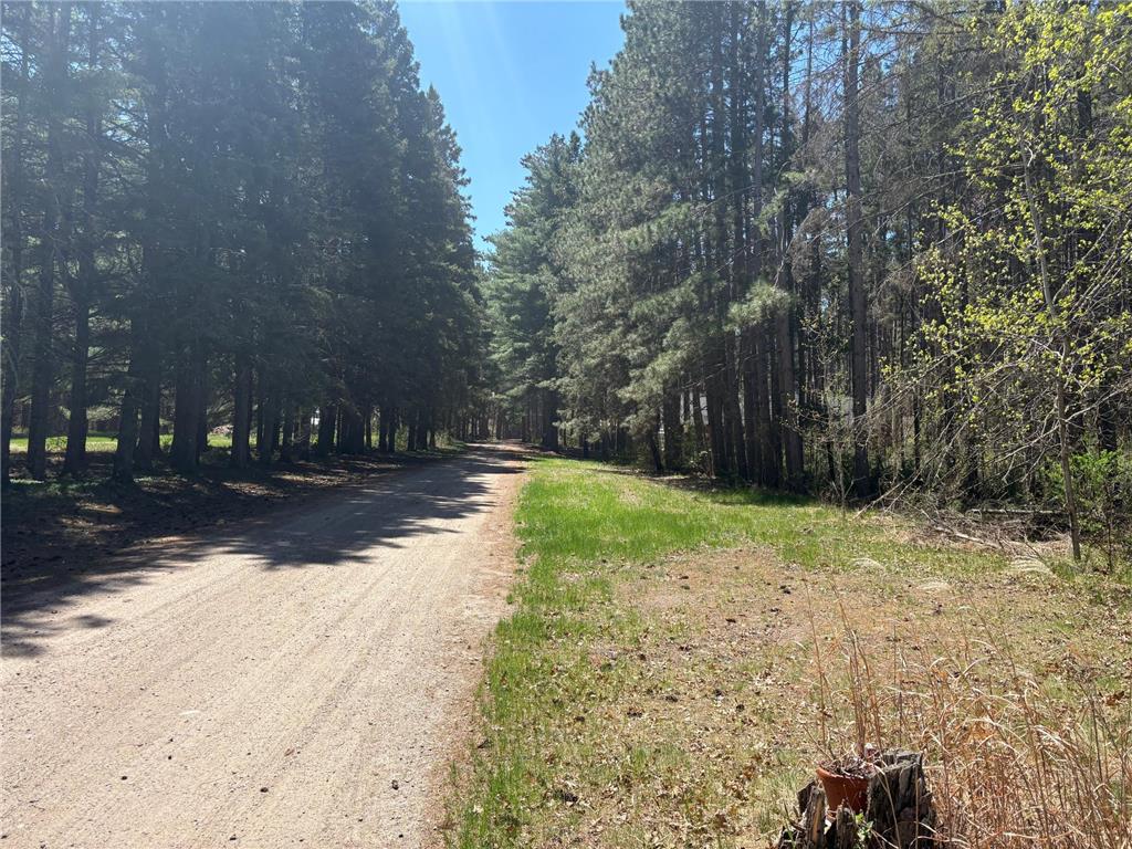 31XXX Nordenstua Lane Pequot Lakes MN 56472 - Sibley 7073597 image8
