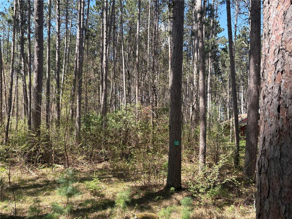 31XXX Nordenstua Lane Pequot Lakes MN 56472 - Sibley 7073597 image9