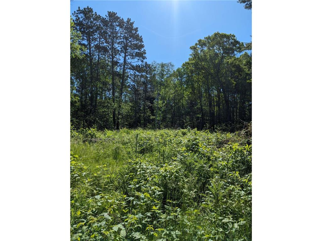 31xxx Wildwood Lane Breezy Point MN 56472 6551874 image1