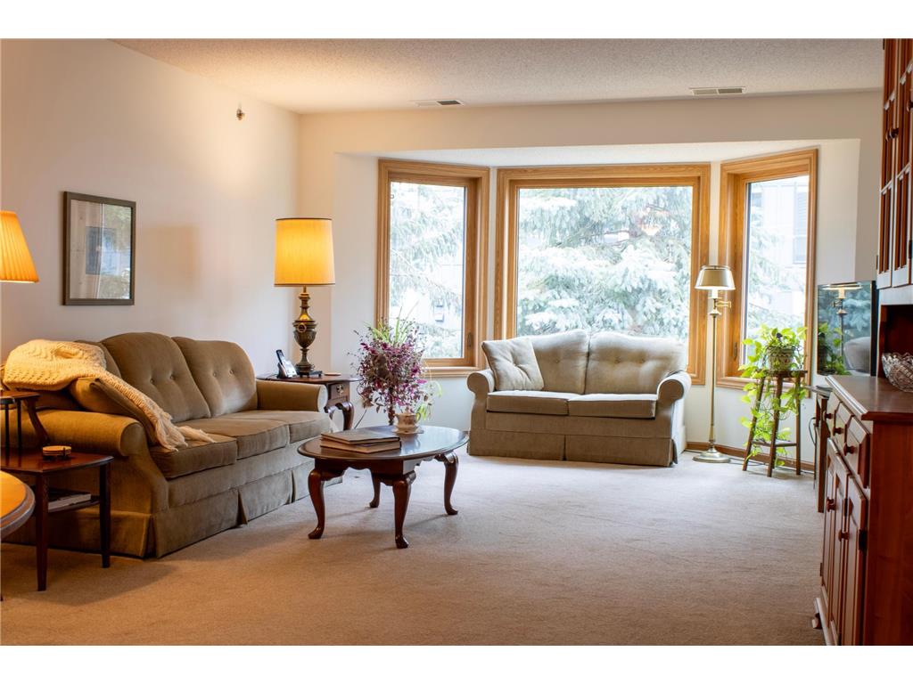 32 11th Avenue S #305 Hopkins MN 55343 6701647 image3