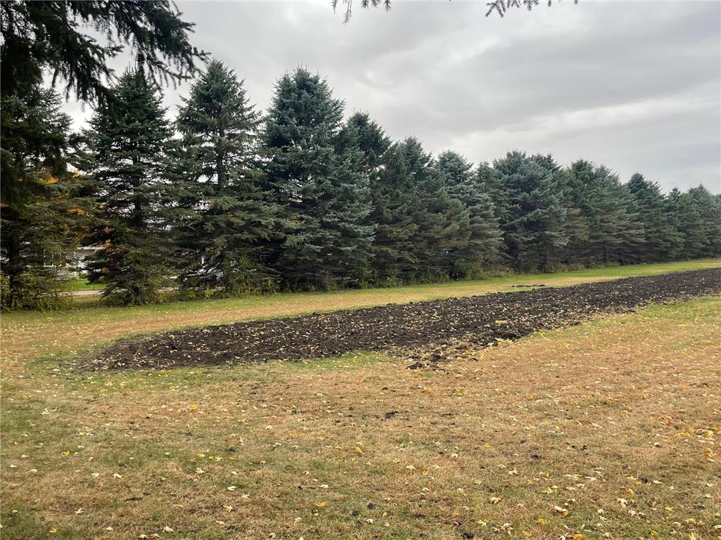 320 Elm Street Tracy MN 56175 6811879 image3