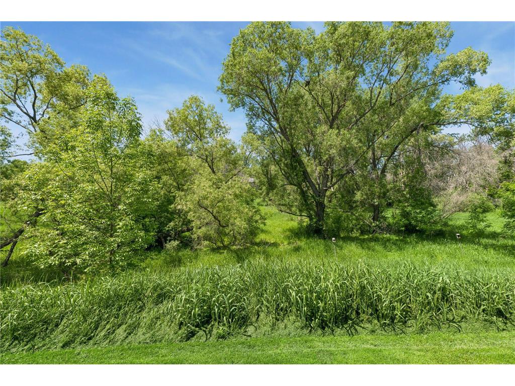 3200 Juniper Circle #C Woodbury MN 55125 7080522 image34