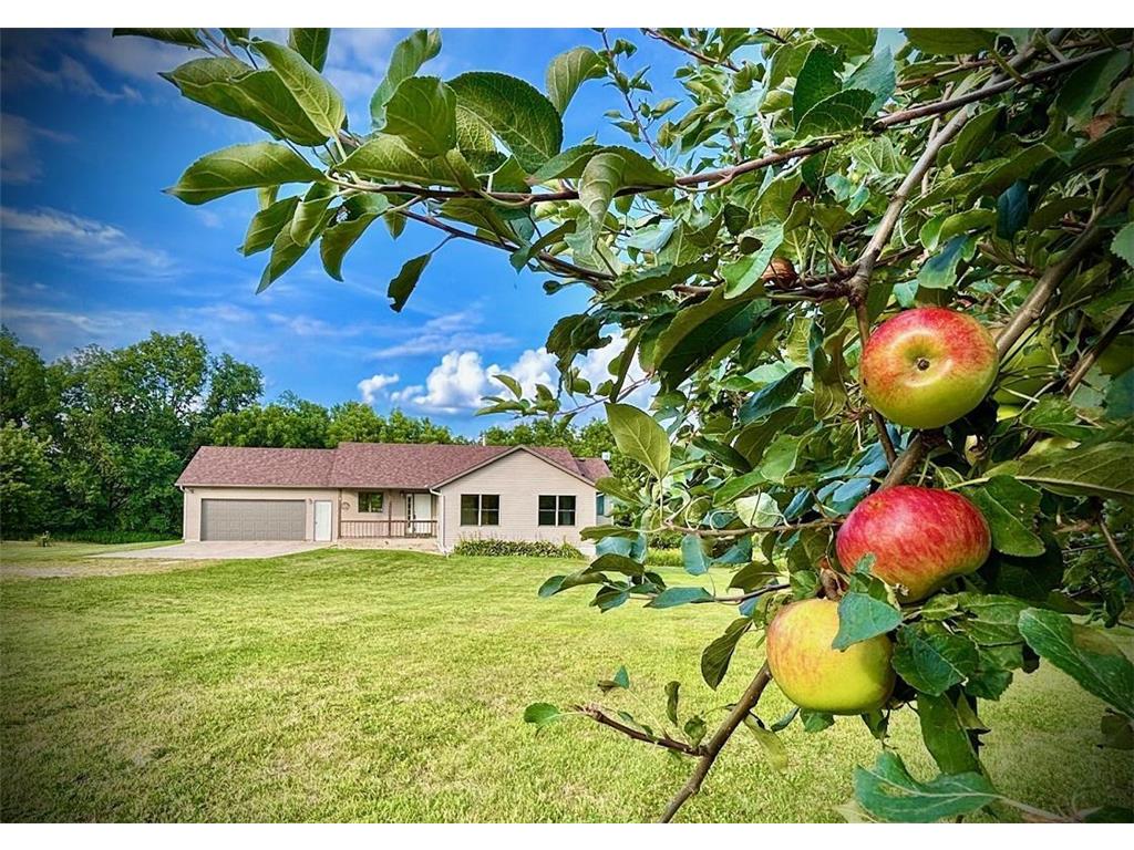 32004 Hemmingway Road Fremont Twp MN 55952 6769166 image1