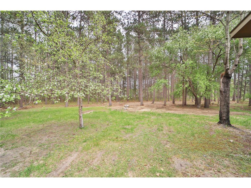 32042 Darner Lane Pequot Lakes MN 56472 7022391 image27