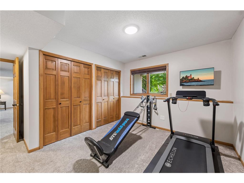 3205 Julian Drive Chaska MN 55318 7093922 image41