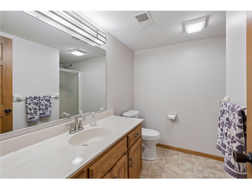 3205 Julian Drive Chaska MN 55318 7093922 image42