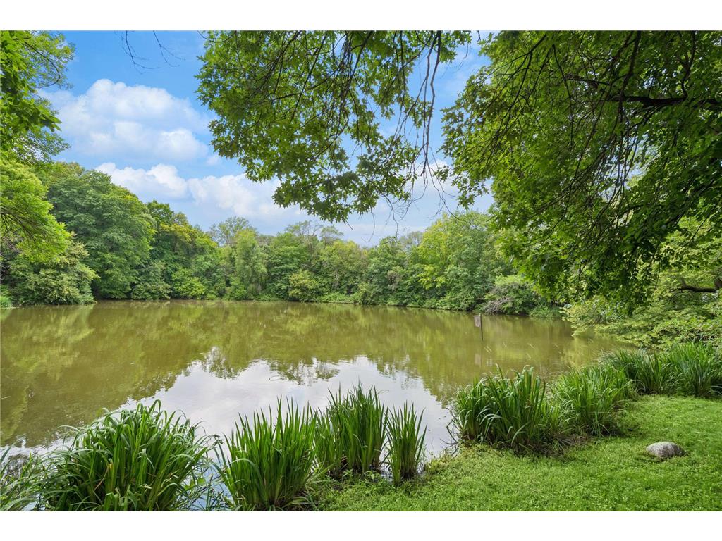 3205 Julian Drive Chaska MN 55318 7093922 image54