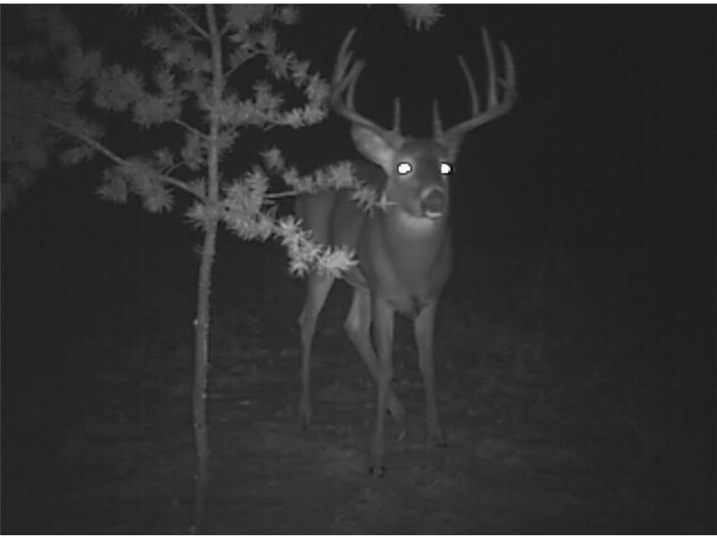 32062 159th Avenue Menahga MN 56464 6529065 image1