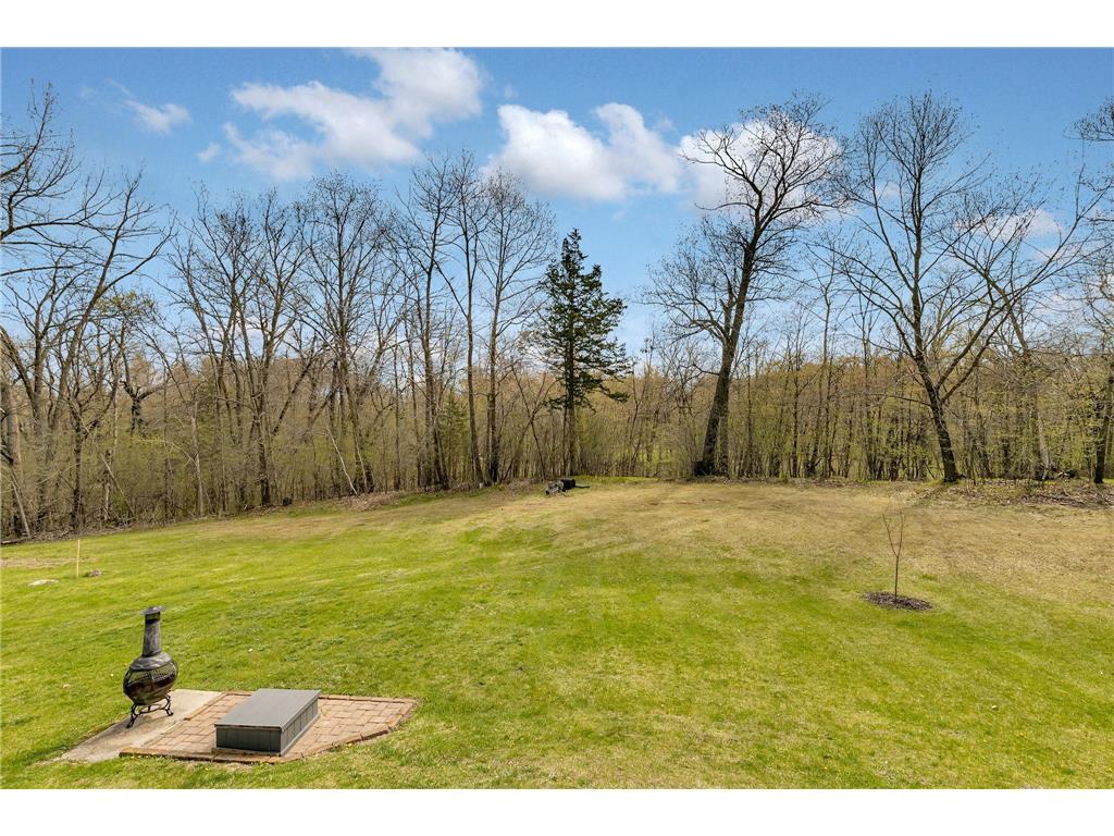 32062 742nd Avenue South Haven MN 55382 7065967 image54