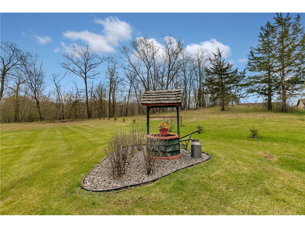 32062 742nd Avenue South Haven MN 55382 7065967 image56