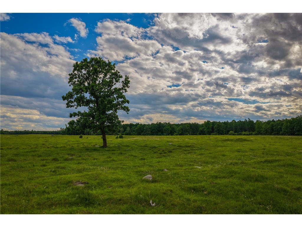 320th 320th Moose Creek Twp MN 56676 7110668 image10