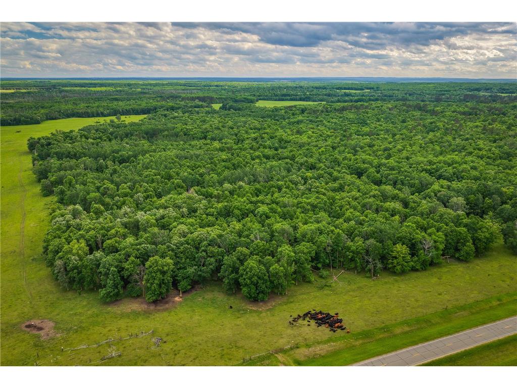320th 320th Moose Creek Twp MN 56676 7110668 image14