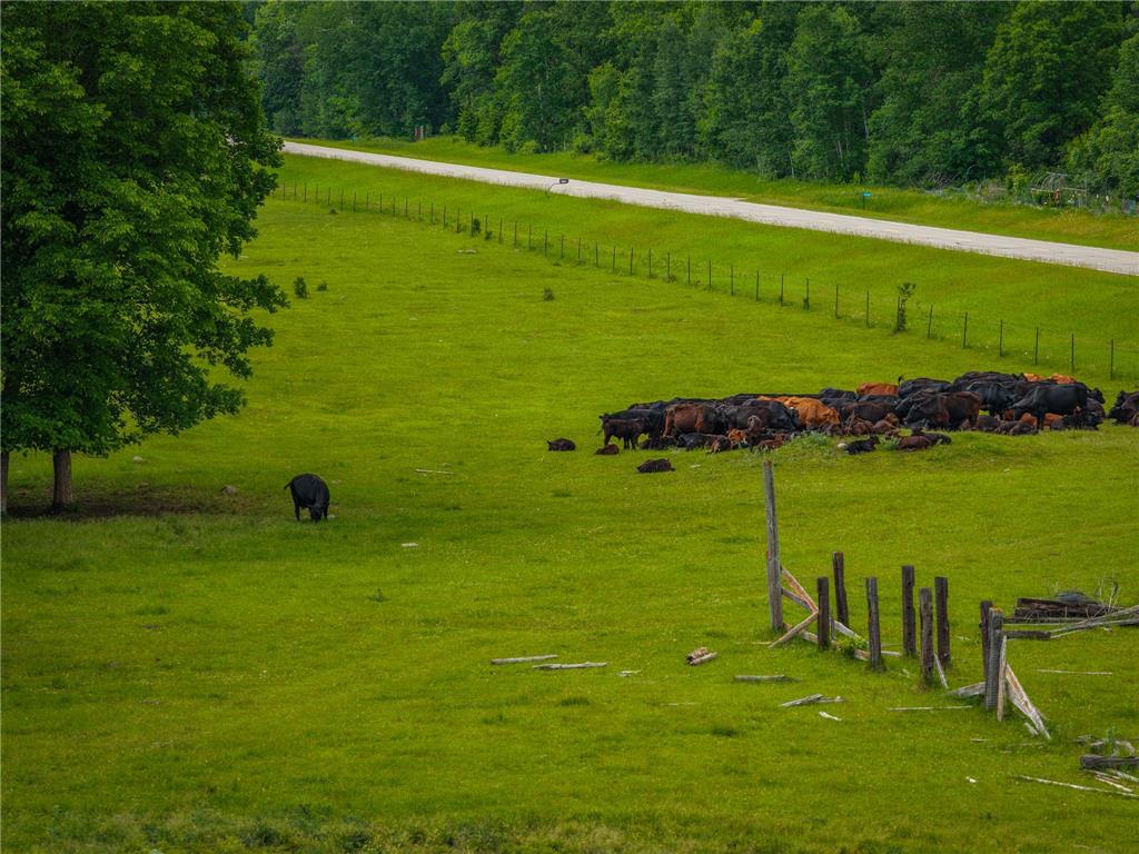 320th 320th Moose Creek Twp MN 56676 7110668 image2
