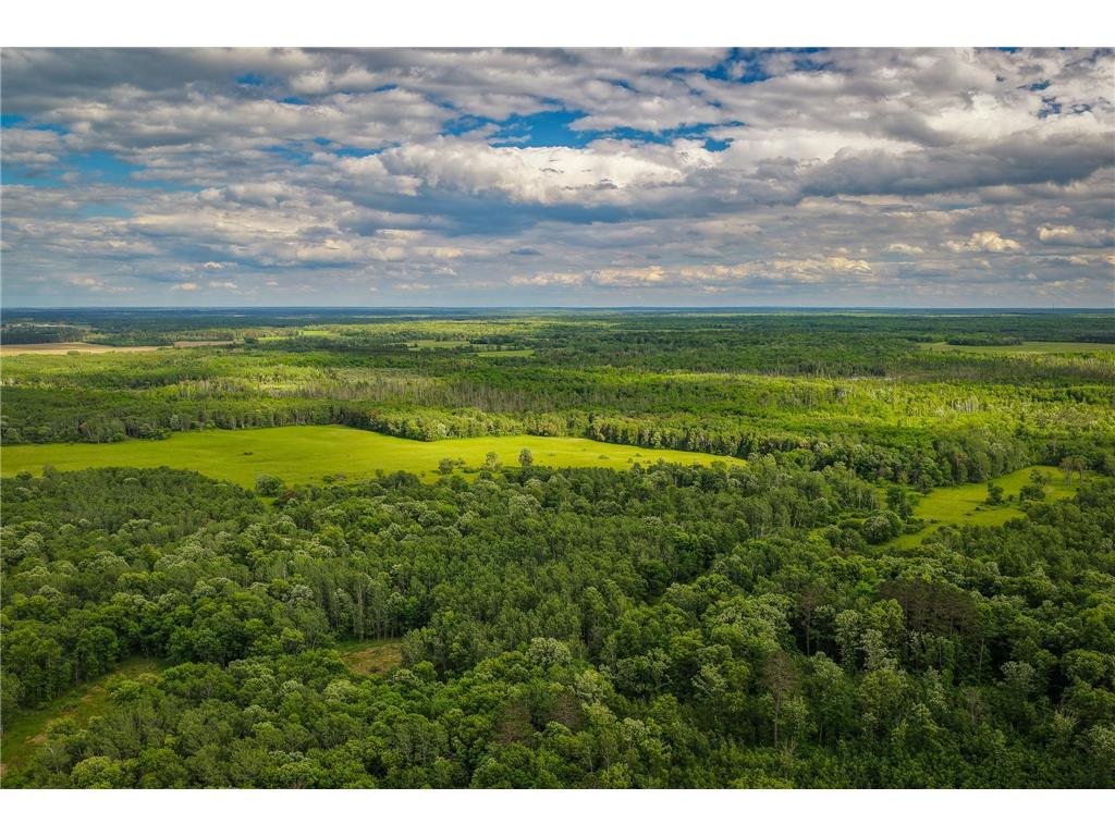 320th 320th Moose Creek Twp MN 56676 7110668 image28