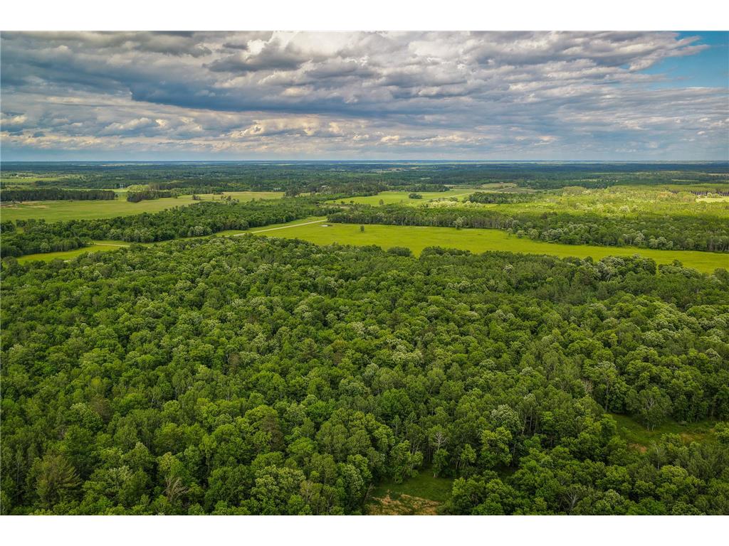 320th 320th Moose Creek Twp MN 56676 7110668 image29
