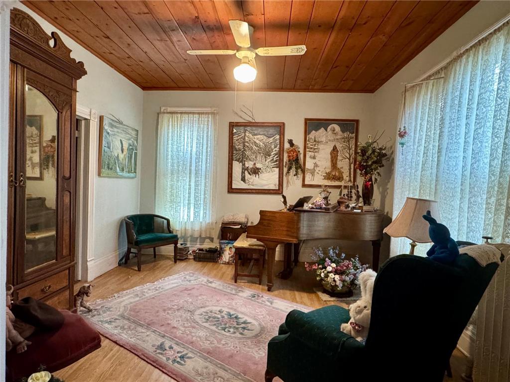 321 N Section Avenue Spring Valley MN 55975 6676360 image13