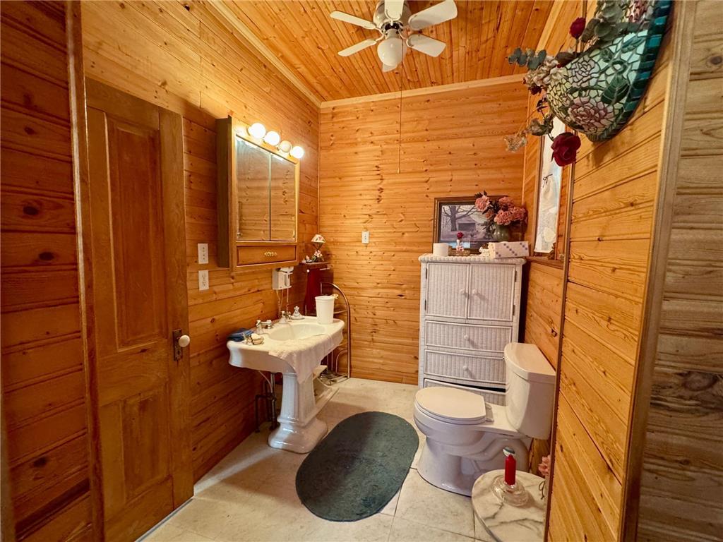 321 N Section Avenue Spring Valley MN 55975 6676360 image16