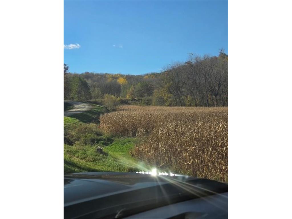 XXXXX County 45 Boulevard Red Wing MN 55066 7005273 image1