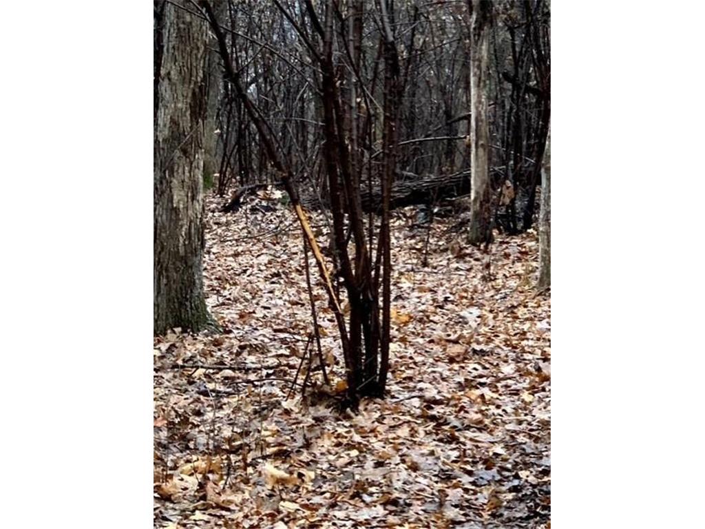 XXXXX County 45 Boulevard Red Wing MN 55066 7005273 image2