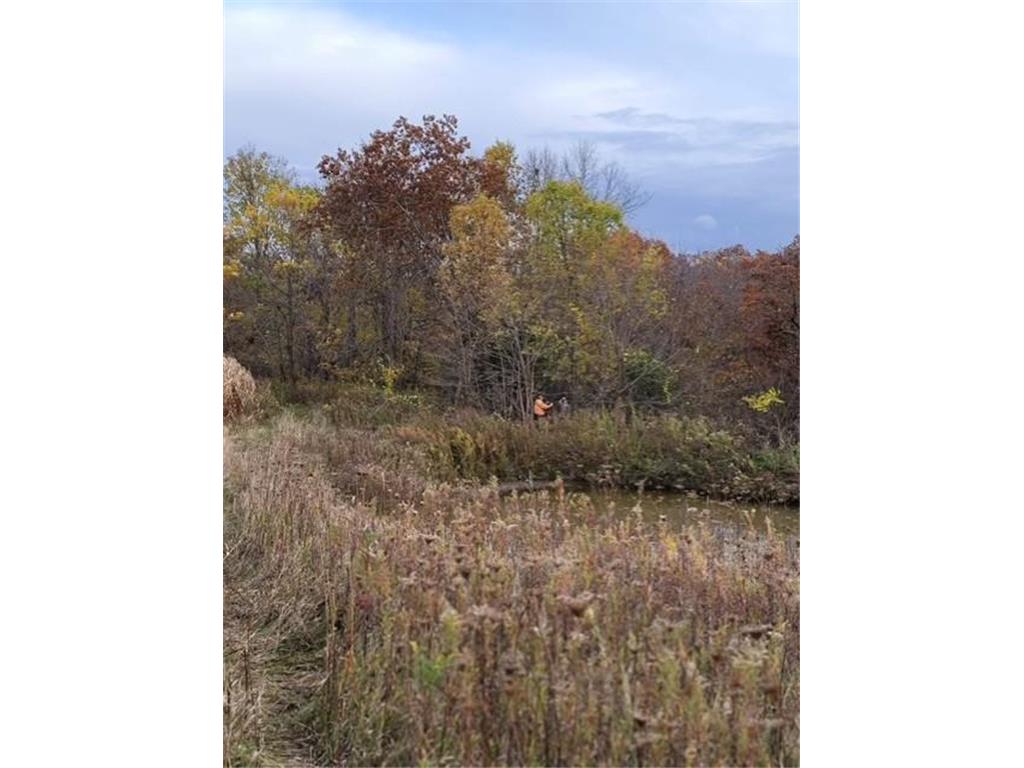 XXXXX County 45 Boulevard Red Wing MN 55066 7005273 image3