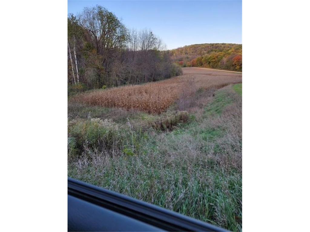 XXXXX County 45 Boulevard Red Wing MN 55066 7005273 image4