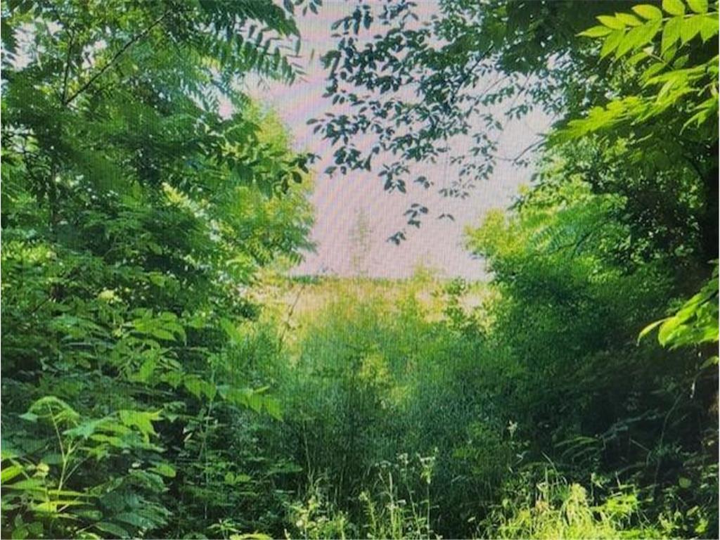 XXXXX County 45 Boulevard Red Wing MN 55066 7005273 image5